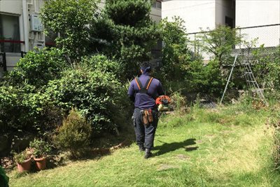 神戸で庭手入れを依頼するなら植木屋の【拓己庭園】