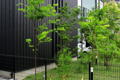 神戸で植栽を行うなら【拓己庭園】へ～植栽のコツは目的に応じた植物選びと植え方～